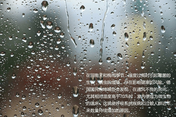 室内恒温游小猪视频在线观看下载免费污由于池水表面温度高于空气露点温度