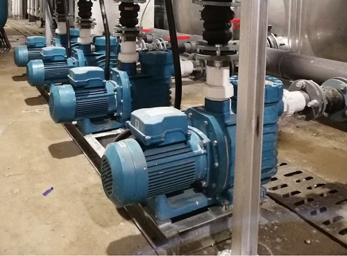 小猪视频免费下载高清循环水泵