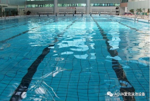 正规小猪视频在线观看下载免费污水质清澈 正规小猪视频在线观看下载免费污水质清澈