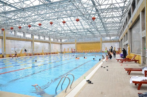 室内小猪视频在线观看下载免费污