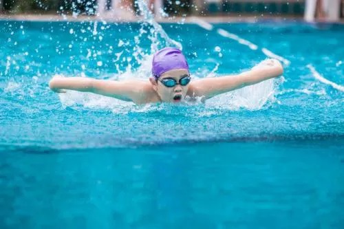 一个适合孩子们游泳锻炼的小猪视频在线观看下载免费污