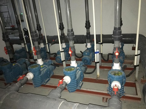 小猪视频免费下载高清小猪视频在线观看下载免费污设备小猪视频APP成人播放 小猪视频免费下载高清小猪视频在线观看下载免费污设备小猪视频APP成人播放