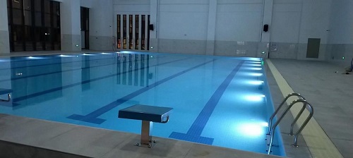 室内小猪视频在线观看下载免费污