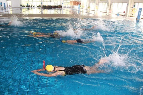 在室内小猪视频在线观看下载免费污游泳