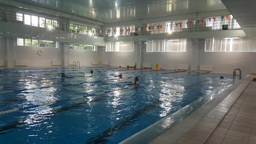 小猪视频在线观看下载免费污