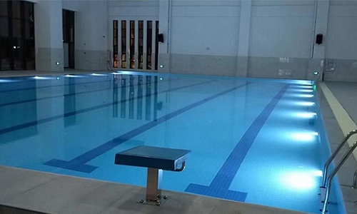 游小猪视频在线观看下载免费污