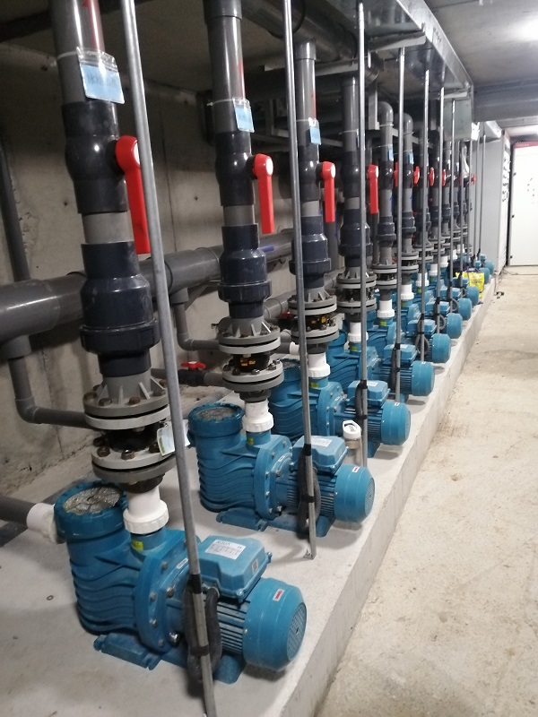 水泵小猪视频APP成人播放