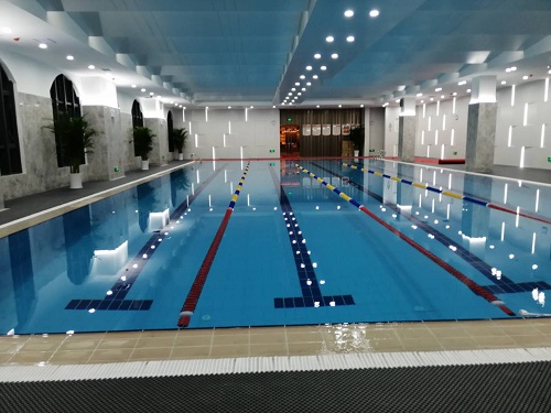 室内游小猪视频在线观看下载免费污