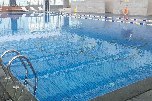 室内小猪视频在线观看下载免费污