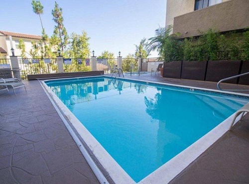 游小猪视频在线观看下载免费污