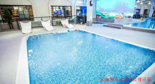 太丽星城游小猪视频在线观看下载免费污