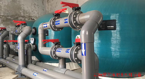 砂缸小猪视频APP成人播放