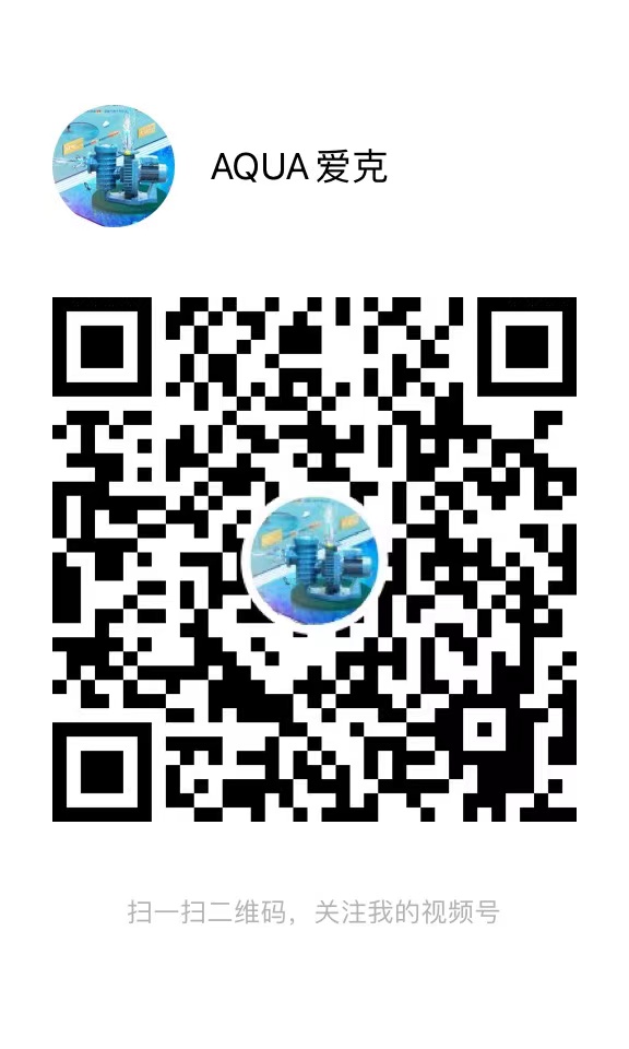 小猪视频免费下载高清视频号