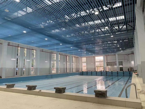 重庆某大学小猪视频在线观看下载免费污