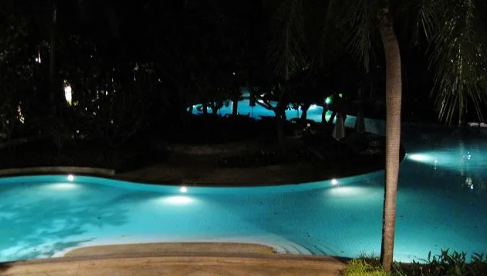 游小猪视频在线观看下载免费污 游小猪视频在线观看下载免费污