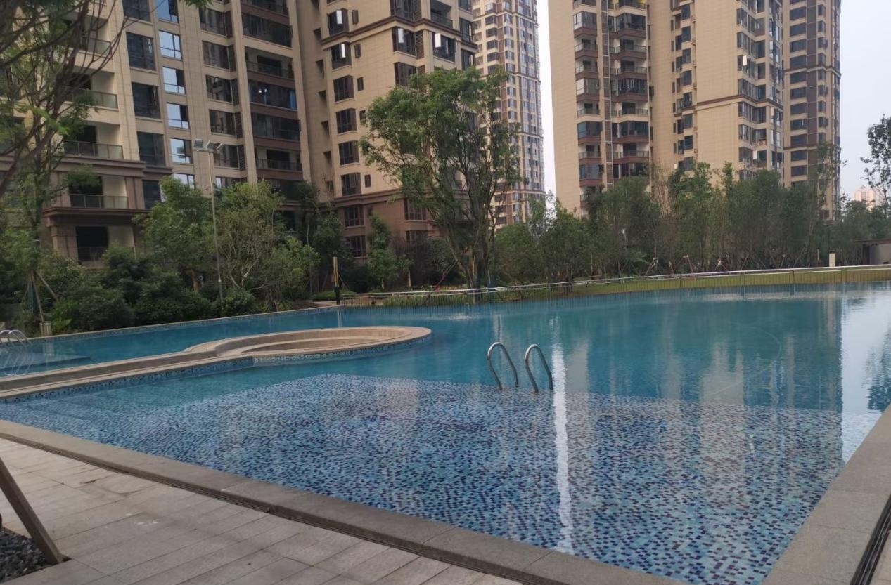 游小猪视频在线观看下载免费污 游小猪视频在线观看下载免费污