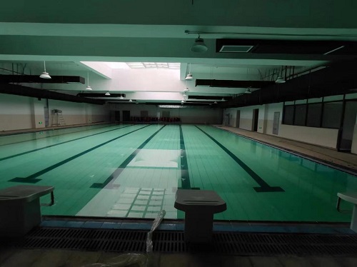 丹州小学游小猪视频在线观看下载免费污