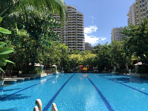 游小猪视频在线观看下载免费污 游小猪视频在线观看下载免费污