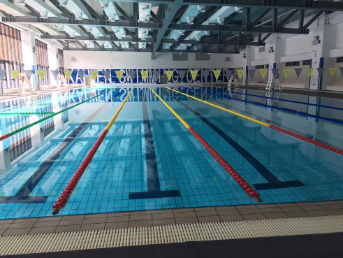 学校游小猪视频在线观看下载免费污