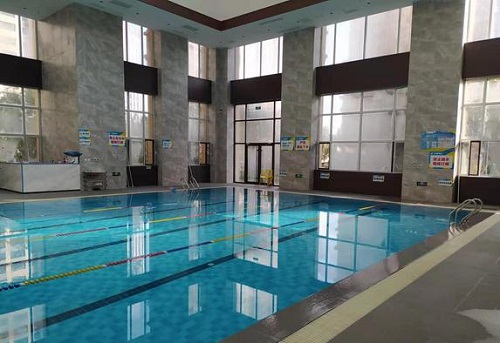 领航室内恒温小猪视频在线观看下载免费污