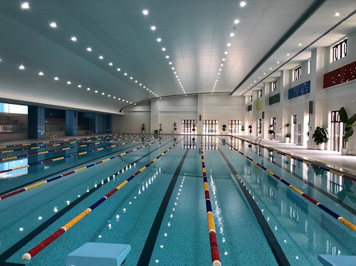 游小猪视频在线观看下载免费污