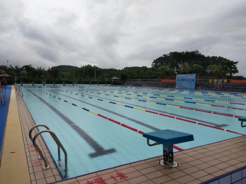 游小猪视频在线观看下载免费污