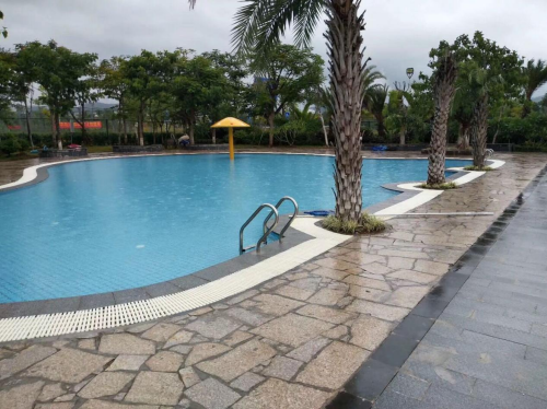 儿童游小猪视频在线观看下载免费污采用小猪视频免费下载高清设备