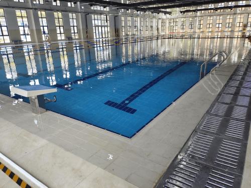 室内小猪视频在线观看下载免费污