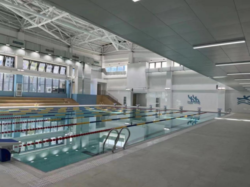 室内小猪视频在线观看下载免费污