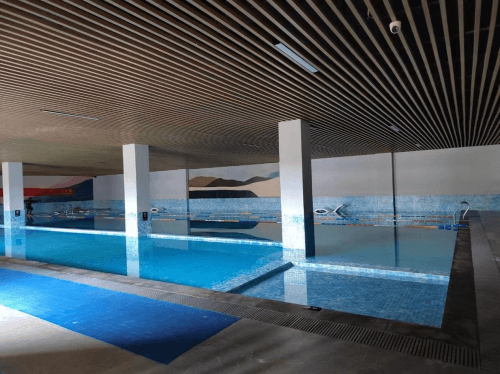 小区恒温小猪视频在线观看下载免费污