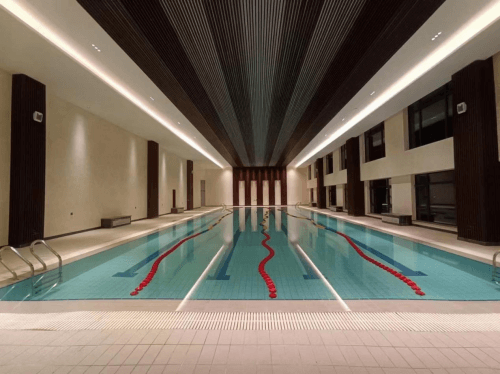 室内游小猪视频在线观看下载免费污