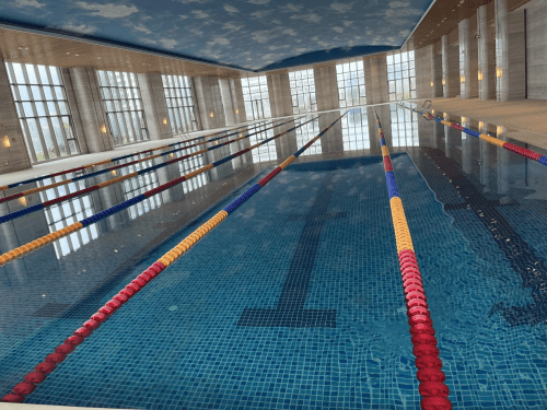 室内游小猪视频在线观看下载免费污