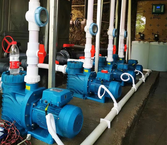 小猪视频在线观看下载免费污水泵