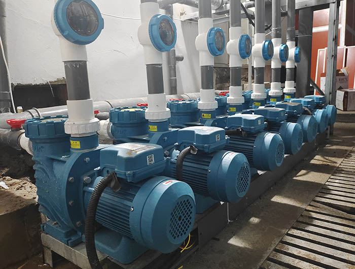 小猪视频在线观看下载免费污水处理设备